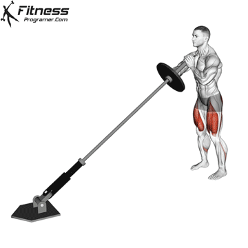 Landmine Squat