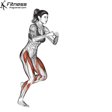 Lateral Speed Step