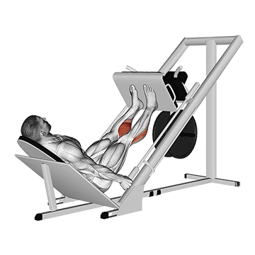 Leg Press Calf Raise