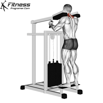 Lever Gripless Shrug