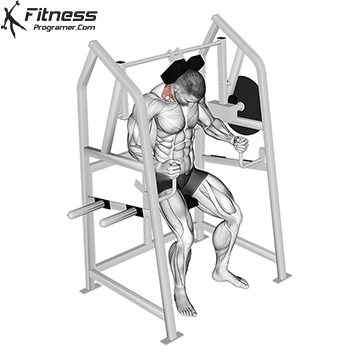 Lever Neck Extension (plate loaded)