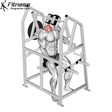 Lever Neck Right Side Flexion (plate loaded)