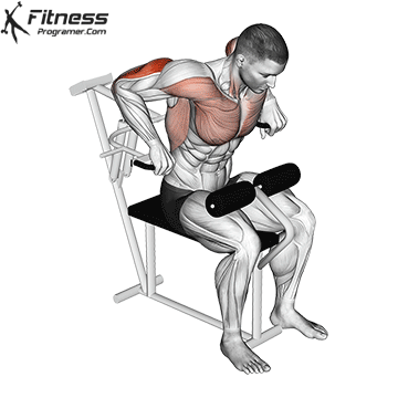 Lever Triceps Dip