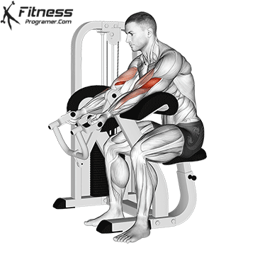 Lever Preacher Curl