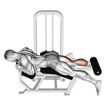 Lever Single Leg Curl