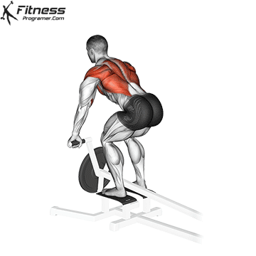 Lever T-Bar Row