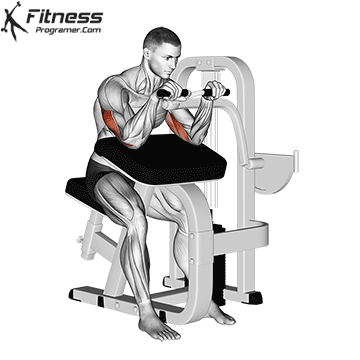 Lever Triceps Extension
