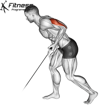 Low Cable Tricep Kickback