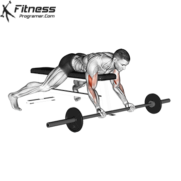 Lying High Bench Barbell Curl