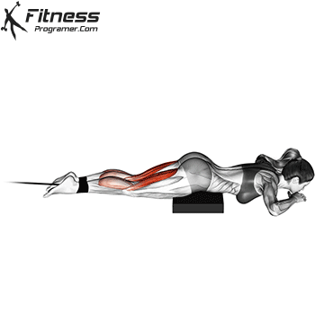 Banded Lying Leg Curl