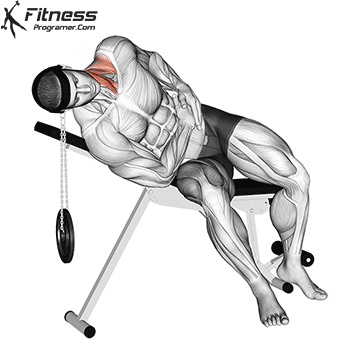 Weighted Lateral Neck Flexion