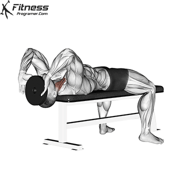 Lying Weighted Neck Flexion