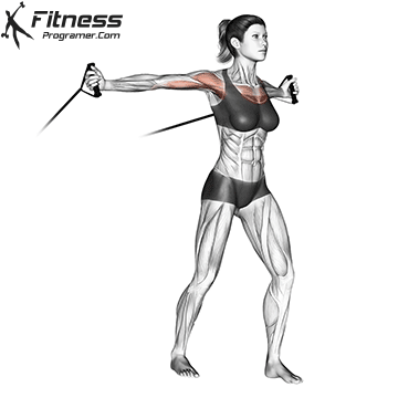 Middle Chest fly With Resistance Band