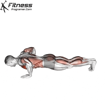 Modified Hindu Push-up
