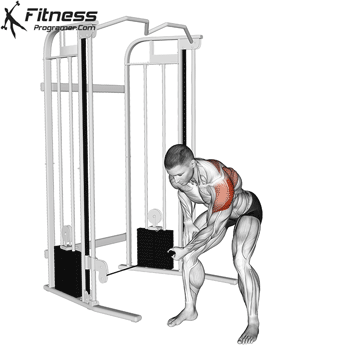 One-Arm Bent Over Cable Lateral Raise