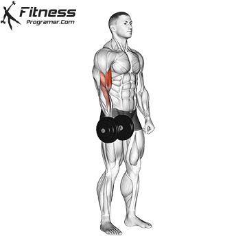 One Arm Biceps Curl