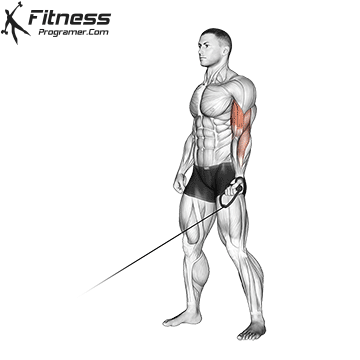One Arm Cable Bicep Curl