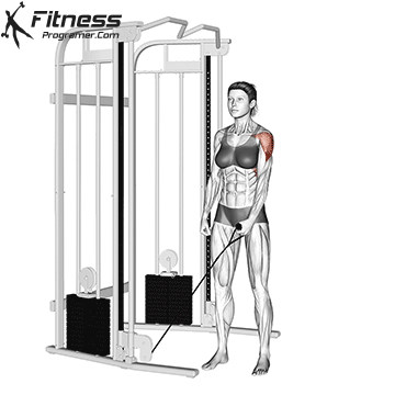 Cable Lateral Raise