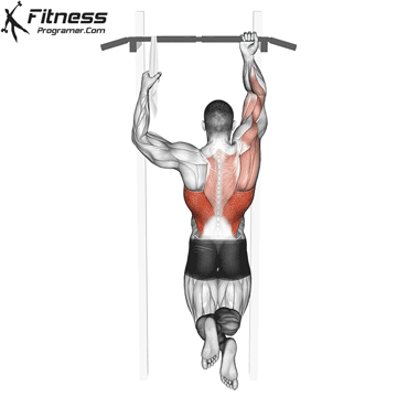 One Arm Chin-Up