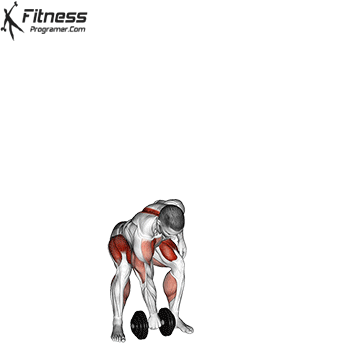 One Arm Dumbbell Snatch