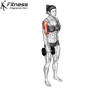 One-Arm Dumbbell Upright Row