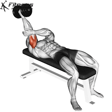 One-Arm Lying Triceps Extension