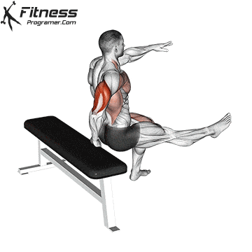 One-Arm Single-Leg Bench Dips