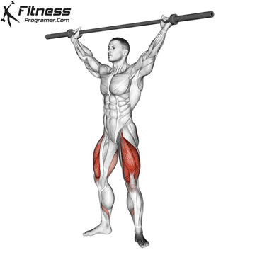 Overhead Squat