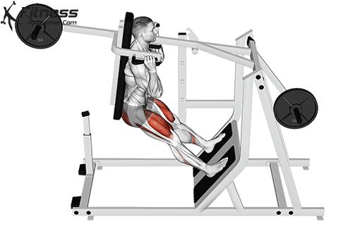Pendulum Squat