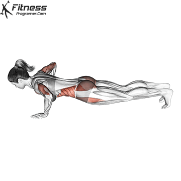 Plank Jacks / Extended Leg