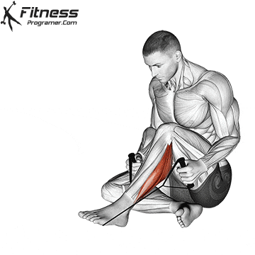Posterior Tibialis Stretch