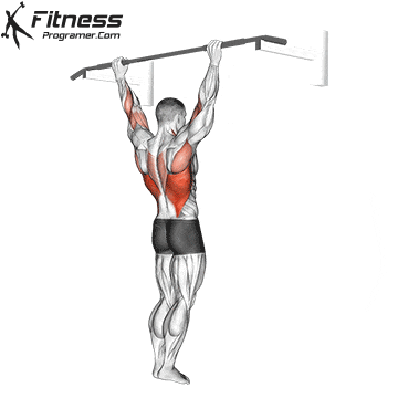 perfect form pull-up