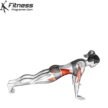 Push-up With Rotation