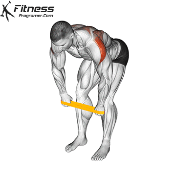 Resistance Band Bent Over Rear Delt Fly
