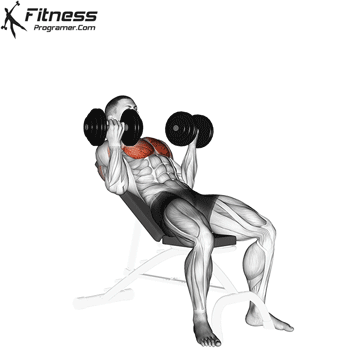 Reverse Grip Incline Dumbbell Press