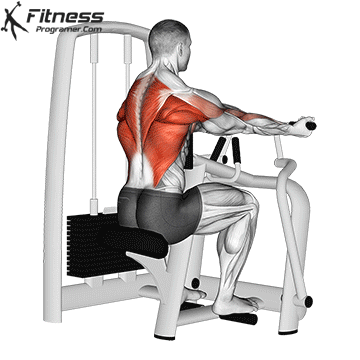 Reverse Grip Machine Row
