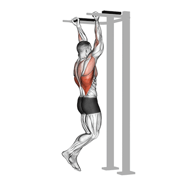 Reverse grip Pull-up