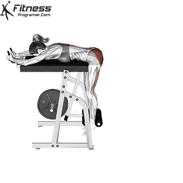 Reverse Hyperextension Machine
