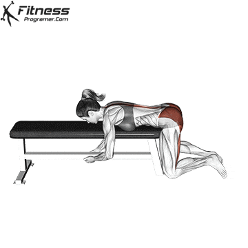 Frog Reverse Hyperextension