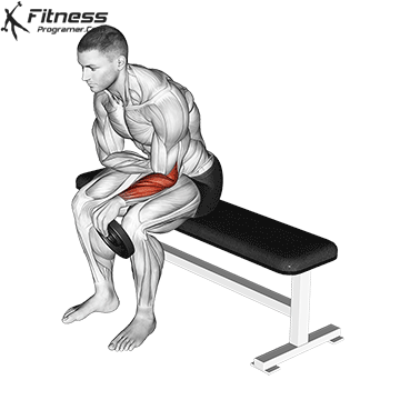 Reverse Wrist Curl