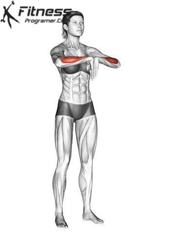 Reverse Wrist Stretch