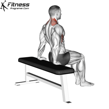 Scapula Dips