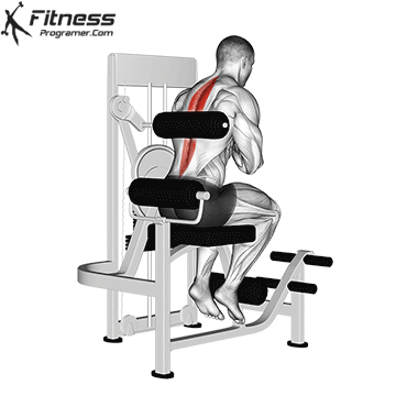 Seated Back Extension