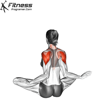 Seated Ballerina Exercise
