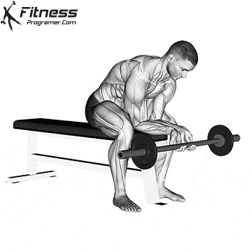 Seated Barbell Finger Curl