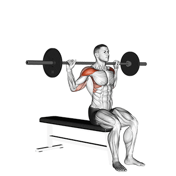 Seated Behind Neck Press