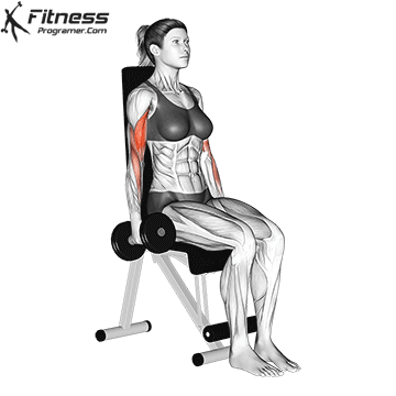 Seated Biceps Curl