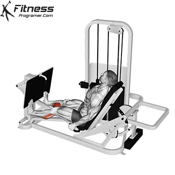 Seated Calf Press on Leg Press Machine