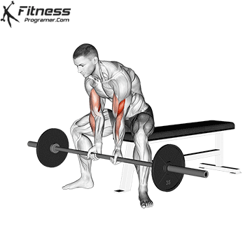 Seated Close-Grip Concentration Curl