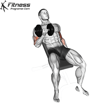 Seated Incline Dumbbell Curl